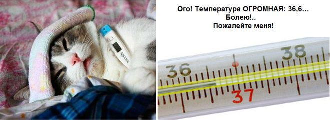 Картинки температура болею