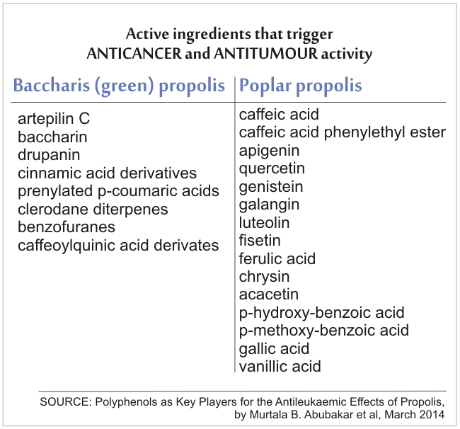 active ingredients of propolis with anticancer and antitumour activity