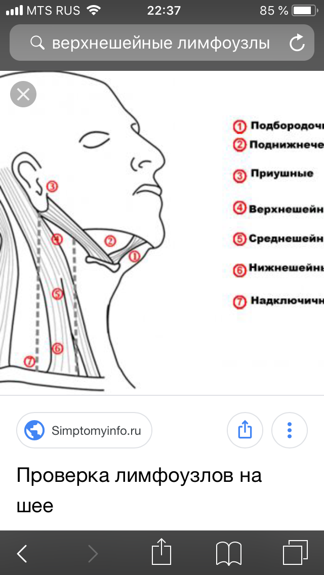 Лимфоузлы на шее какое лечение