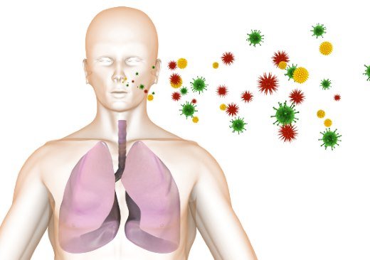 Туберкулез передается воздушно – капельным путем