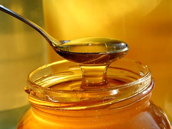 Для лечения простудных заболеваний пчелиный мёд – самое доступное эффективное средство