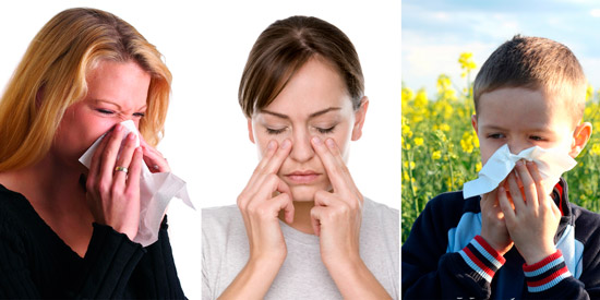 заболевания верхних дыхательных путей: ринит, гайморит, аллергический насморк