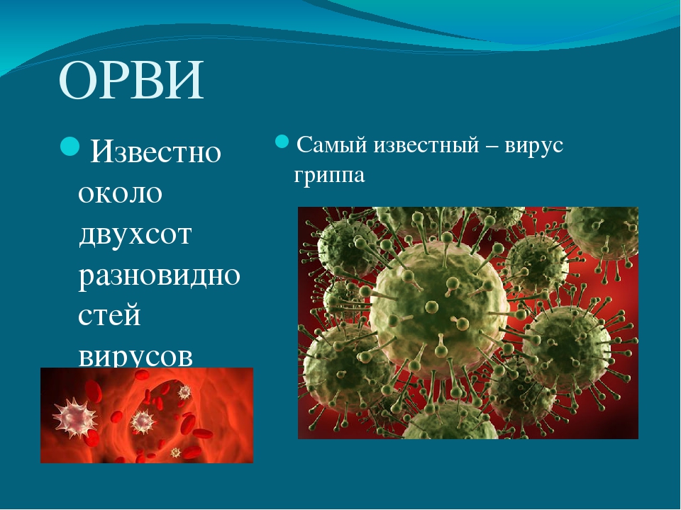 Бактерии вызывающие грипп. Болезни вызываемые вирусами ОРВИ. Вирус ОРЗ. Грипп вирусное заболевание. Вирусы острых респираторных заболеваний.