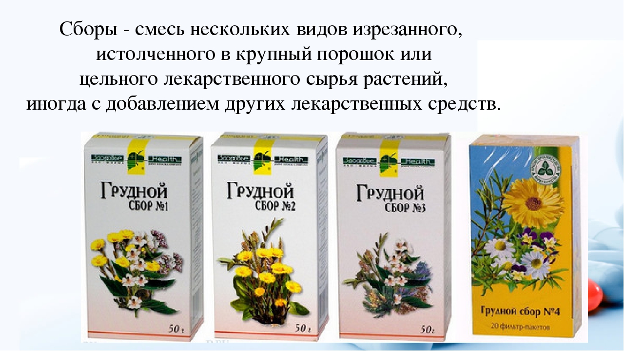 Отхаркивающие травы. Сбор отхаркивающих трав. Отхаркивающие лекарственные травы. Грудной сбор 1 2 3 4. Травяной сбор от кашля для детей.