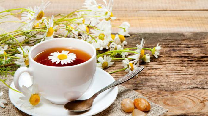 польза и вред для женщин чая из ромашки