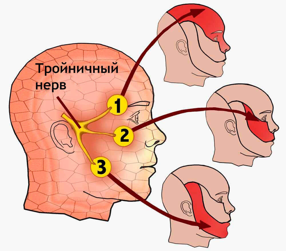 Тройничный нерв