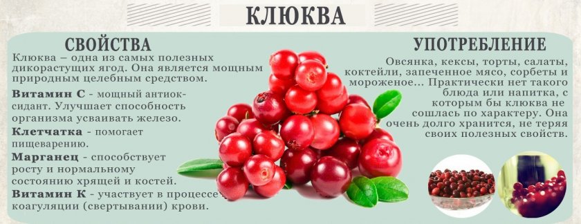 Свойства клюквы