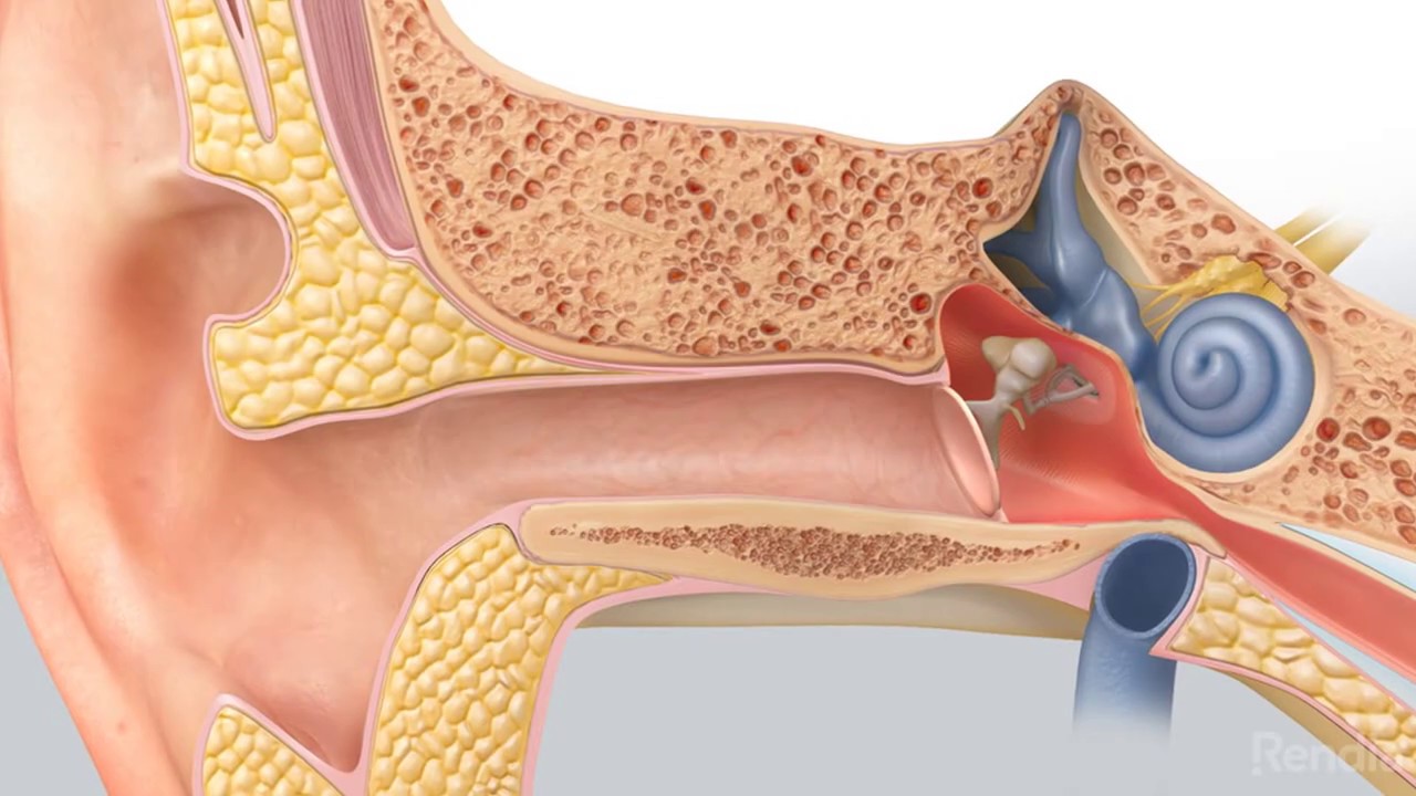 Причины воспаления среднего уха. Гнойный отит мастоидит.