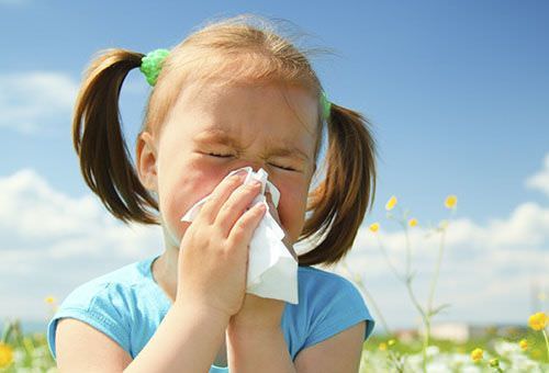 У девочки аллергия на пыльцу.