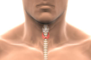 Гипертиреоз щитовидки