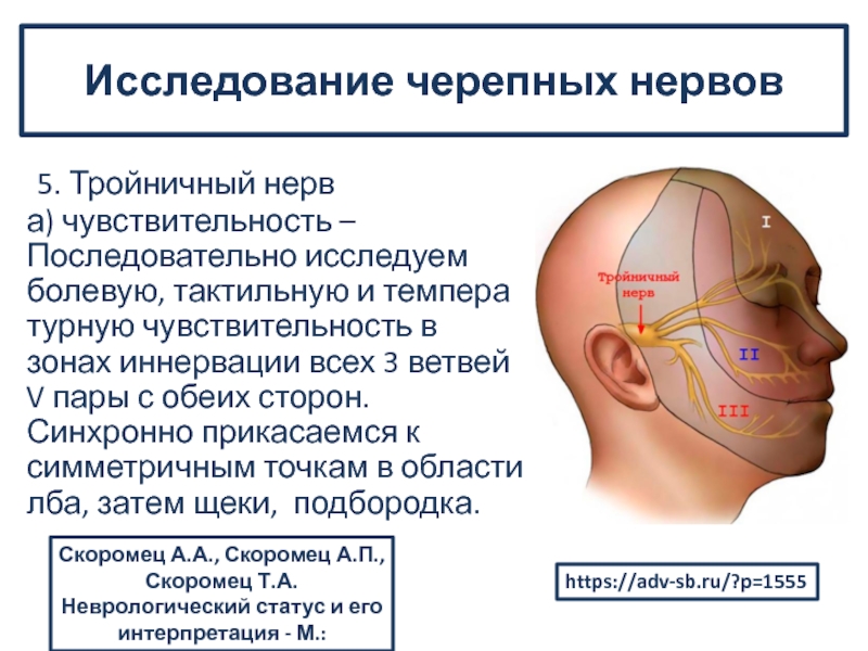 Троичный лицевой нерв воспаление. Исследование двигательной функции тройничного нерва. 5 Нерв тройничного нерва. Исследование функции лицевого и тройничного нервов. Зоны иннервации тройничного нерва.