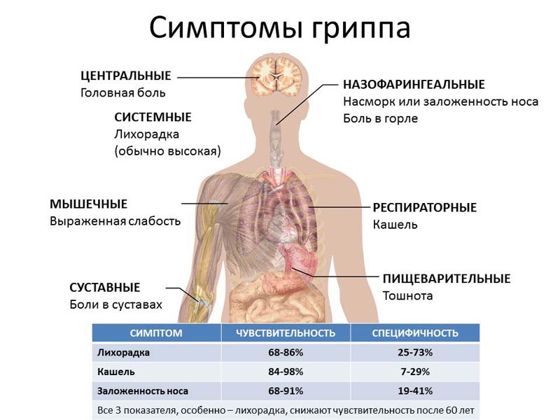 Грипп симптомы у взрослых