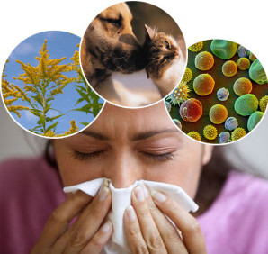 Аллергический насморк